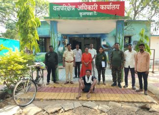 वनक्षेत्रात ‘वनवणवा’ पेटवणाऱ्या विरुद्ध कुनघाडा (रै.) वनविभागाची धडक कारवाई