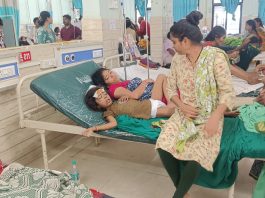 गडचिरोली-उमरखेड बसचा भीषण अपघात : महिला व चिमुकल्यासह 3 जणांचा मृत्यू, 34 प्रवासी गंभीर जखमी