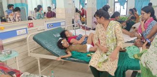 गडचिरोली-उमरखेड बसचा भीषण अपघात : महिला व चिमुकल्यासह 3 जणांचा मृत्यू, 34 प्रवासी गंभीर जखमी