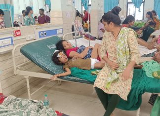 गडचिरोली-उमरखेड बसचा भीषण अपघात : महिला व चिमुकल्यासह 3 जणांचा मृत्यू, 34 प्रवासी गंभीर जखमी