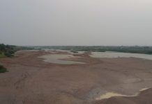 आर्वी घाटावर वाळू माफियांचा सुळसुळाट ; रात्रपाळीत नदीपात्राला खाणीचे रूप