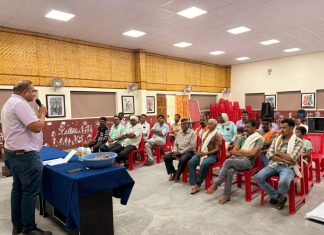 आधुनिक हळद लागवड तंत्रज्ञानाची शेतकऱ्यांना मिळाली नवी दिशा