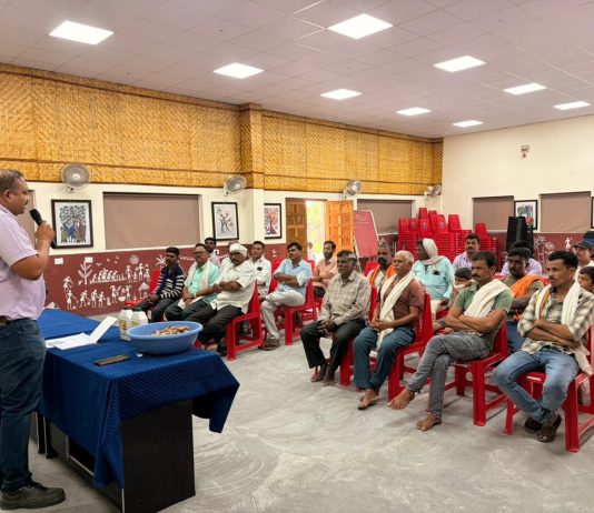 आधुनिक हळद लागवड तंत्रज्ञानाची शेतकऱ्यांना मिळाली नवी दिशा